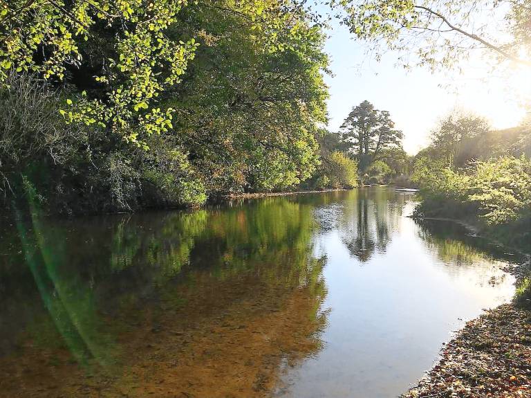 Cottage Budleigh Salterton