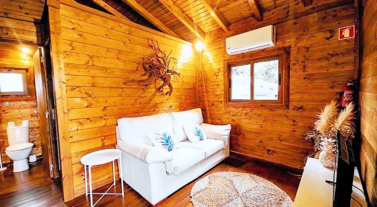 Chalet with pool — photo 2