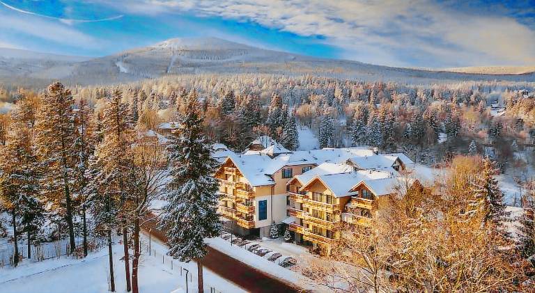 Beautiful serviced apartment with pool, yard & patio | Ski nearby | Pets allowed in Szklarska Poreba