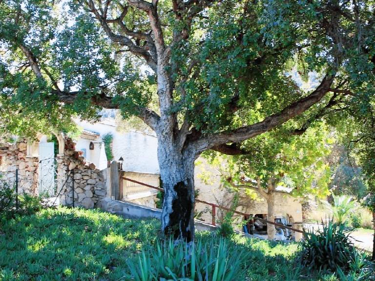 House with garden, patio & barbeque | Nature view — photo 4
