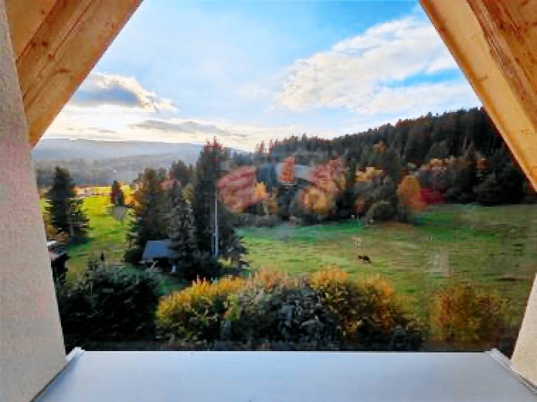Ferienwohnung  Grafenhausen