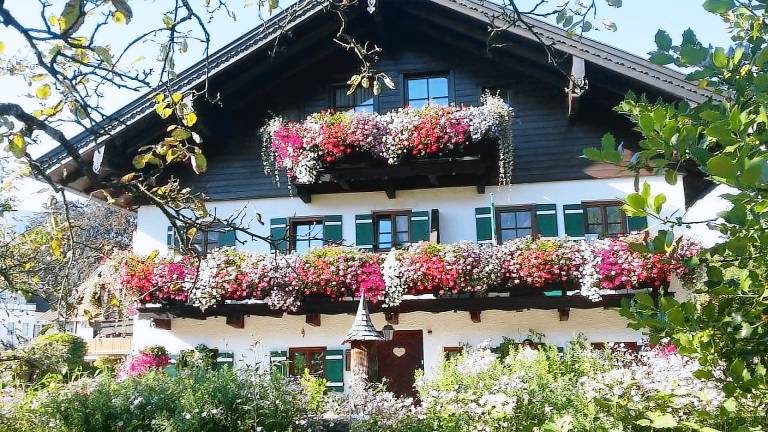 Ferienwohnung  Großgmain