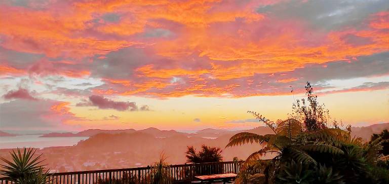 House Coromandel