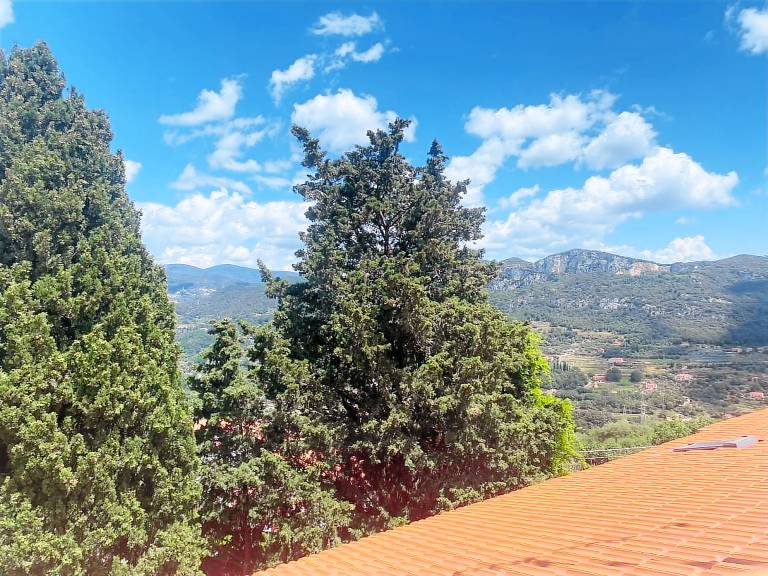 Private room with patio, fast internet & yard | Garden view | Perfect for remote work | Dogs allowed — photo 5