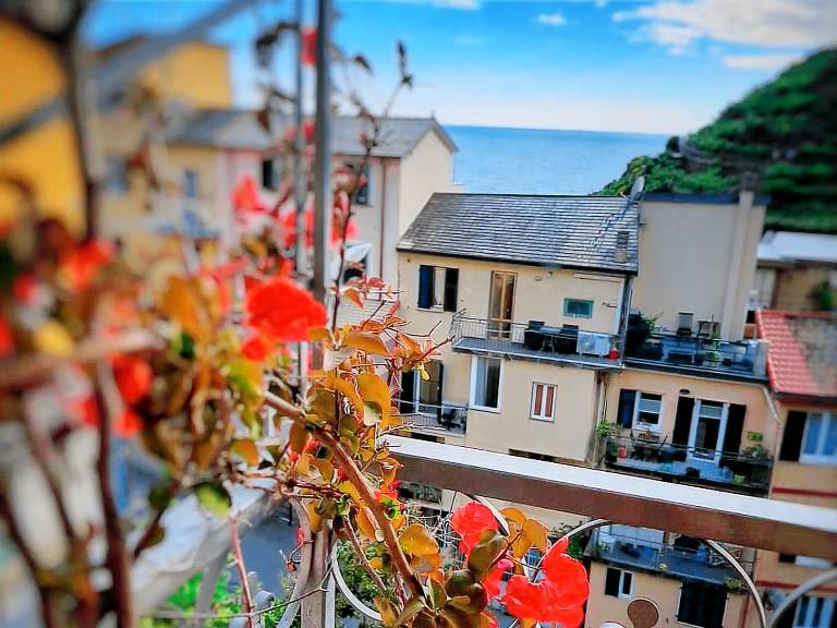 Rental apartment | Suitable for remote work | Pet-friendly — photo 3