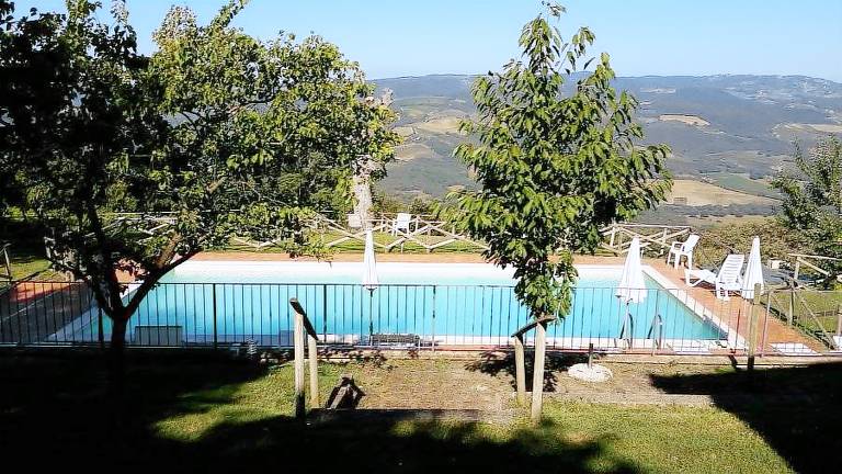 Poggio al vento in Val d'Orcia: Oleandro — photo 3