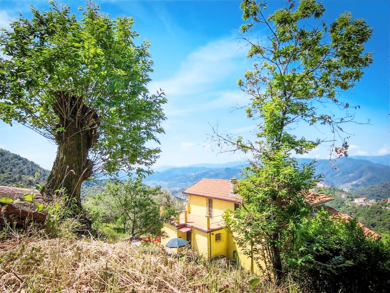 House with garden & terrace | Nature view | Suitable for remote work — photo 4