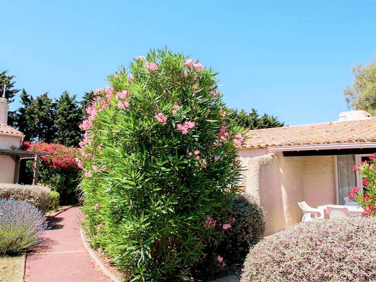 Rental apartment with heated pool | Pet-friendly — photo 4