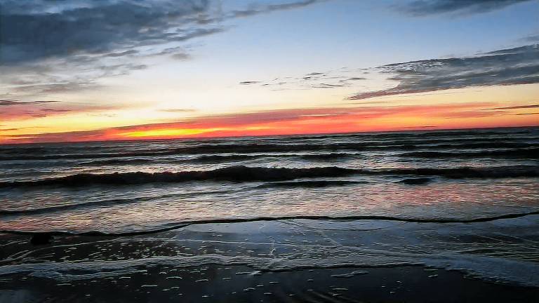 House Padre Island