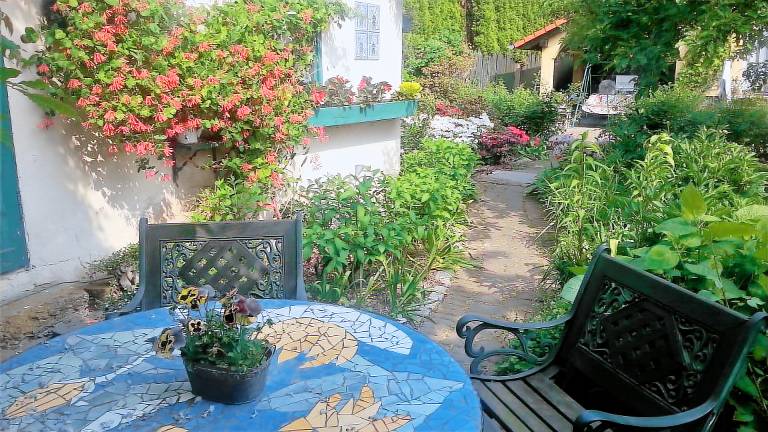 Apartament Mietków