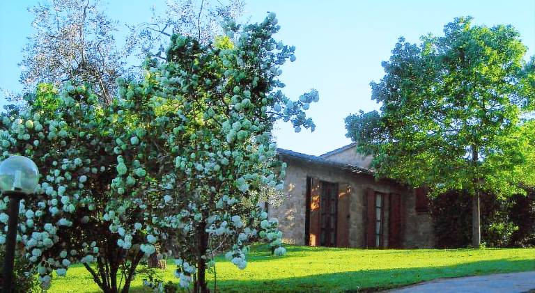 Charming farm with barbecue, garden & pool | Pets are welcome — photo 5