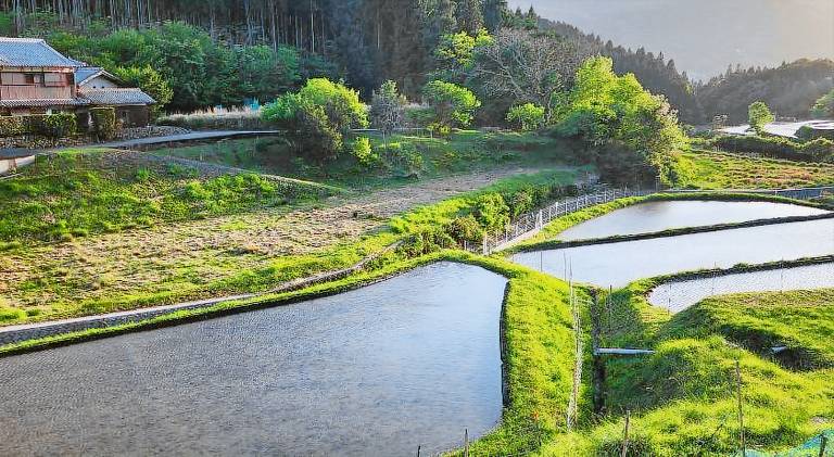 Picturesque Kyoto — photo 2