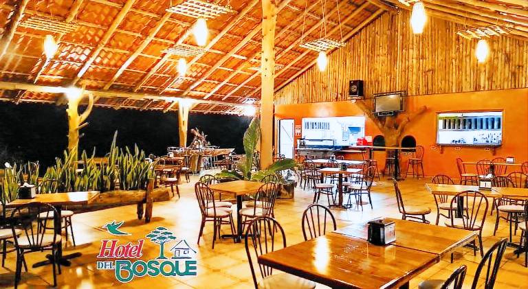 Hotel del Bosque — photo 2