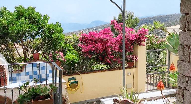 Holiday apartment | Pets are welcome — photo 4