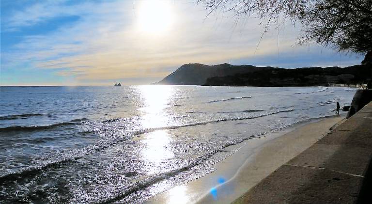 Pleasant apartment | Beach nearby | Dogs allowed in La Seyne-sur-Mer