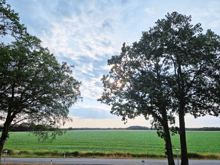 Ferienwohnung  Haselünne