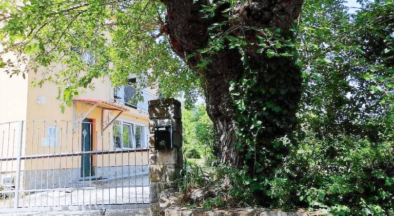 Apartma Puče