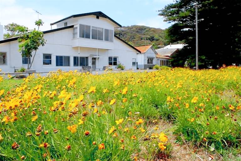 House Patonga