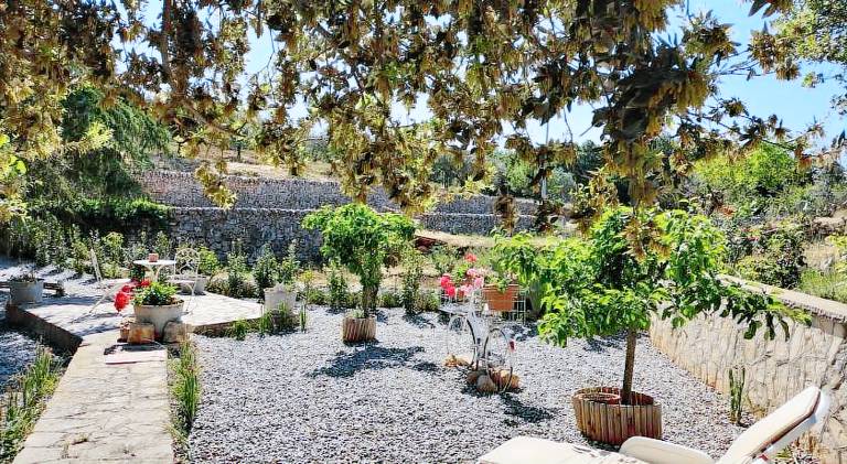 Il giardino delle Fate — photo 2