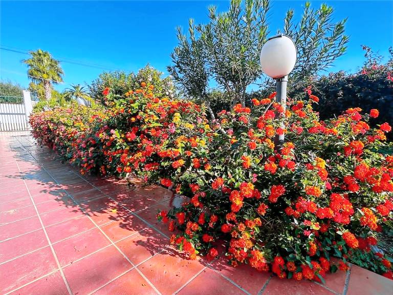Villa with grill, garden & terrace | Garden view — photo 5