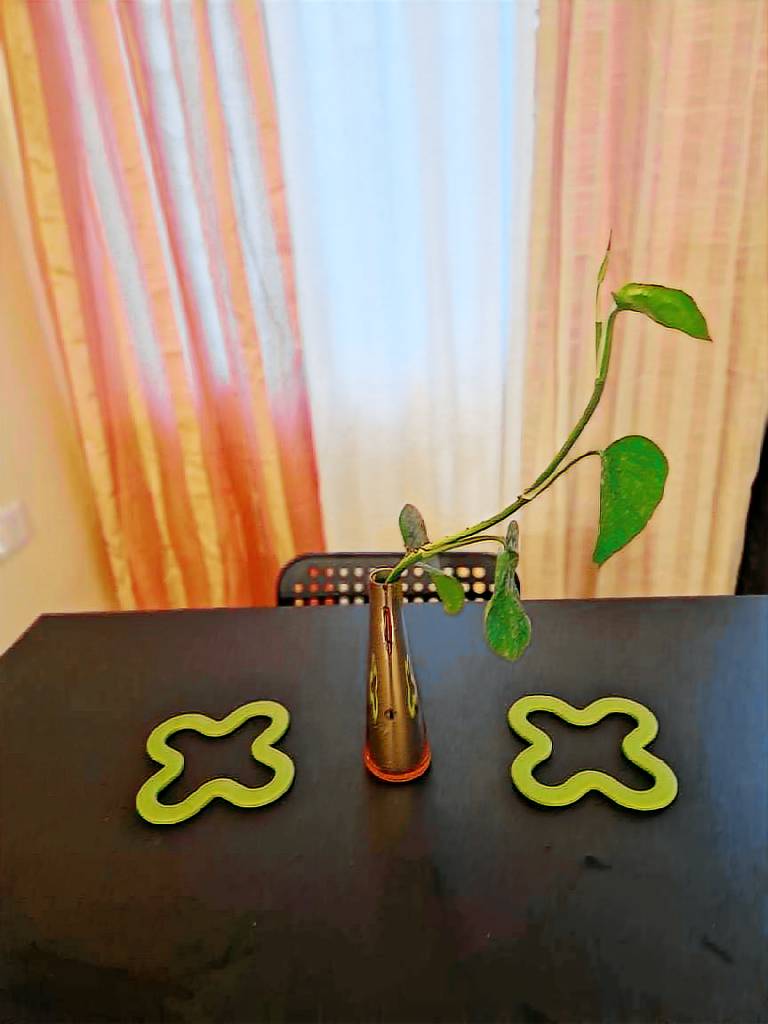 foto7