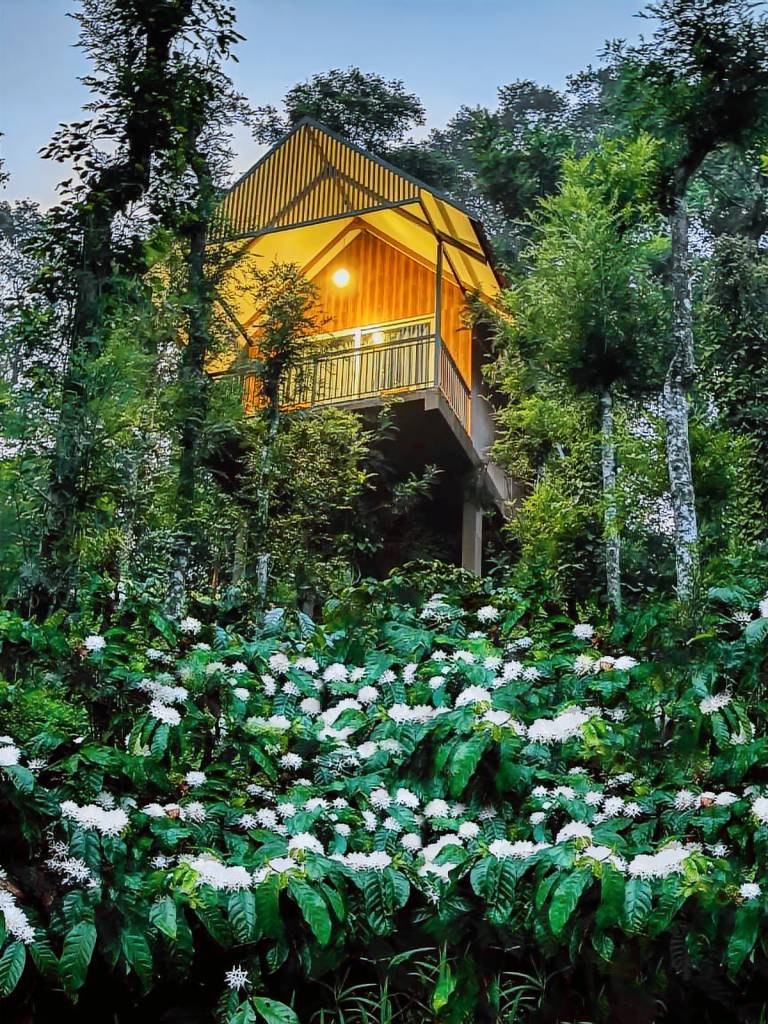 Bed and breakfast Rippon