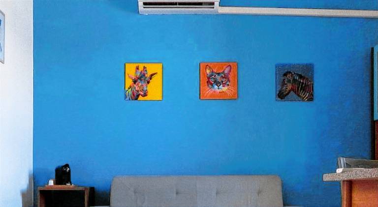 Wonderful house | Close to the beach | Dogs allowed in Alezio
