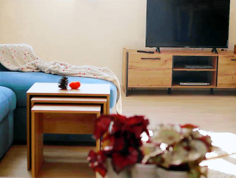 Apartment  Samokov