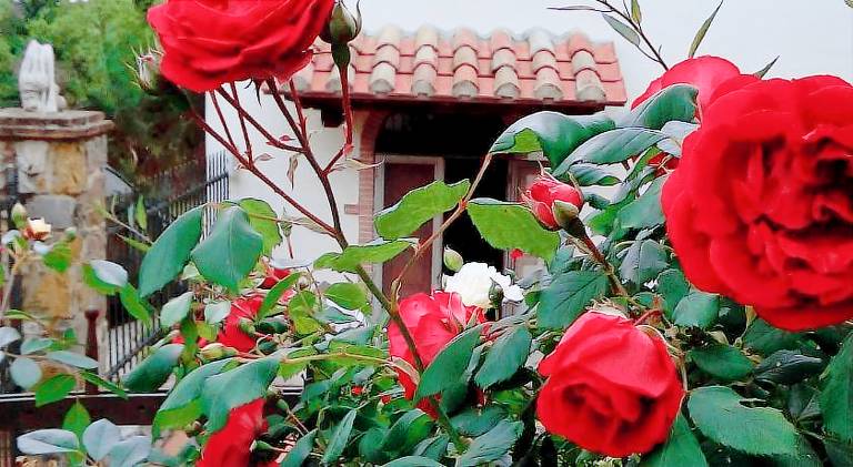 Wonderful farm with BBQ, terrace & yard | Pets allowed in Manciano