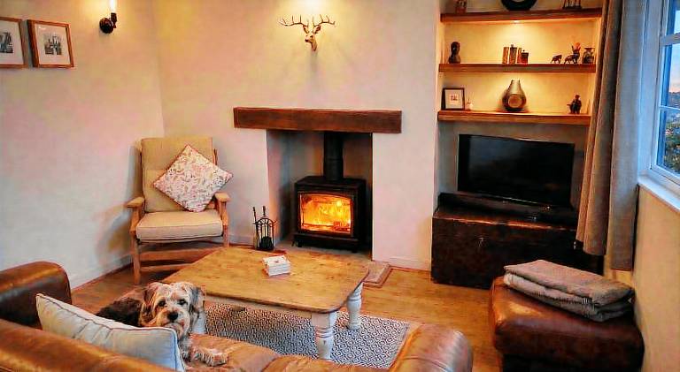 Big house | Dogs allowed in Eastbourne
