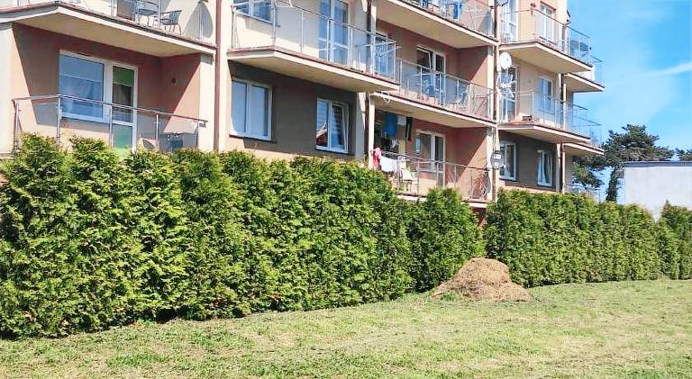 Charming holiday apartment | Beach nearby | Pet-friendly — photo 3