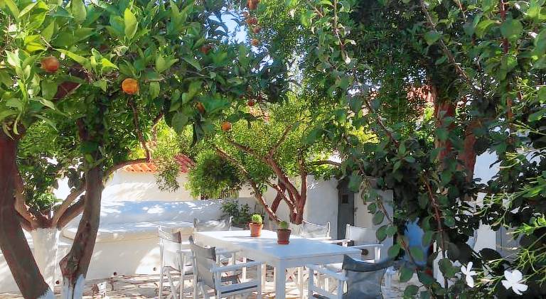 House with garden — photo 5