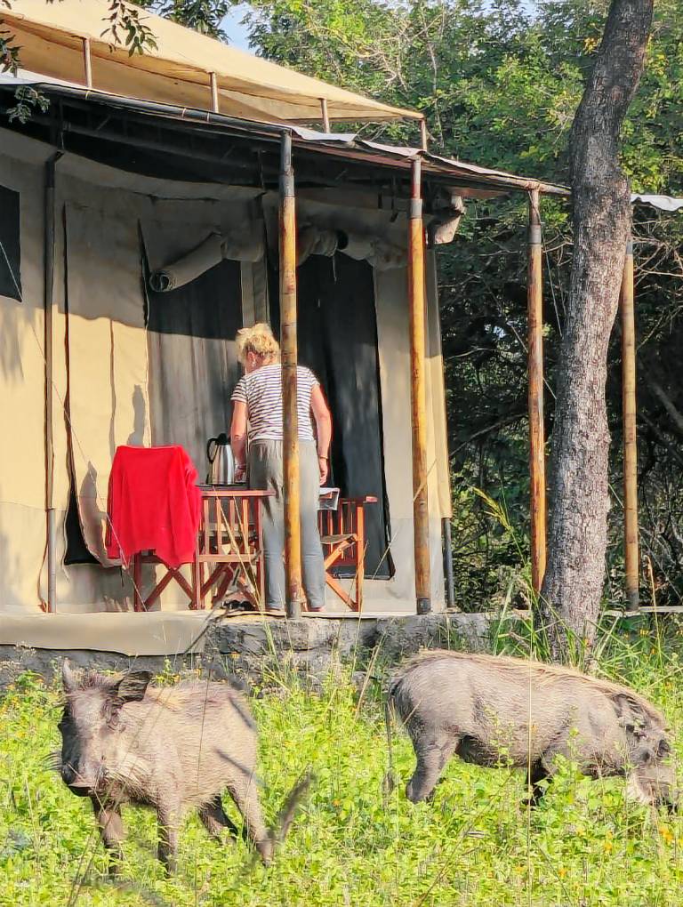 Double G Safaris and Camp Mikumi — photo 5