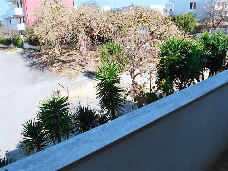 House | City view — photo 4