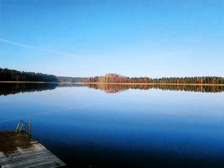 House with sauna | Nature view — photo 3