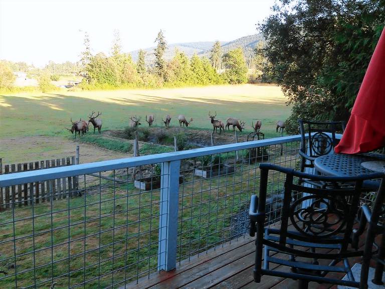 Cabin Sequim