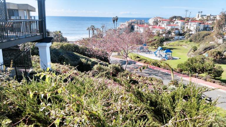 House San Clemente