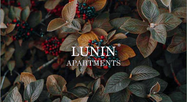 Apartment with 3 rooms for 6 persons in Las Palmas de Gran Canaria