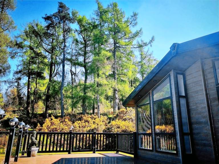 Lodge  Dunoon