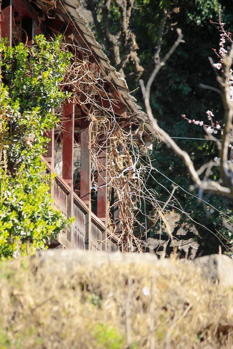 Aarya homes — photo 4
