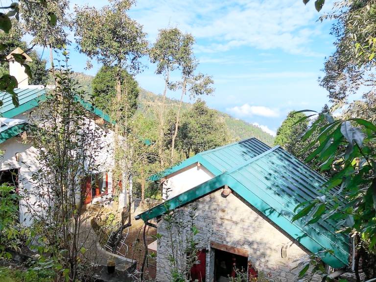Villa with 4 rooms for 12 persons — photo 4