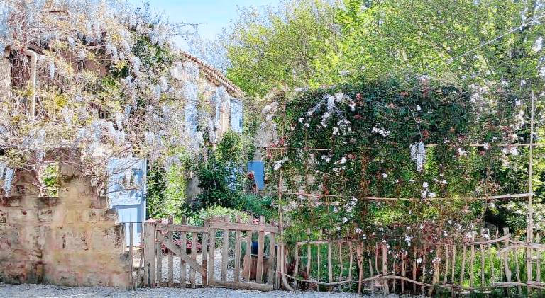 MAS DU MOULIN Chambre d'hote Vaccares — photo 5