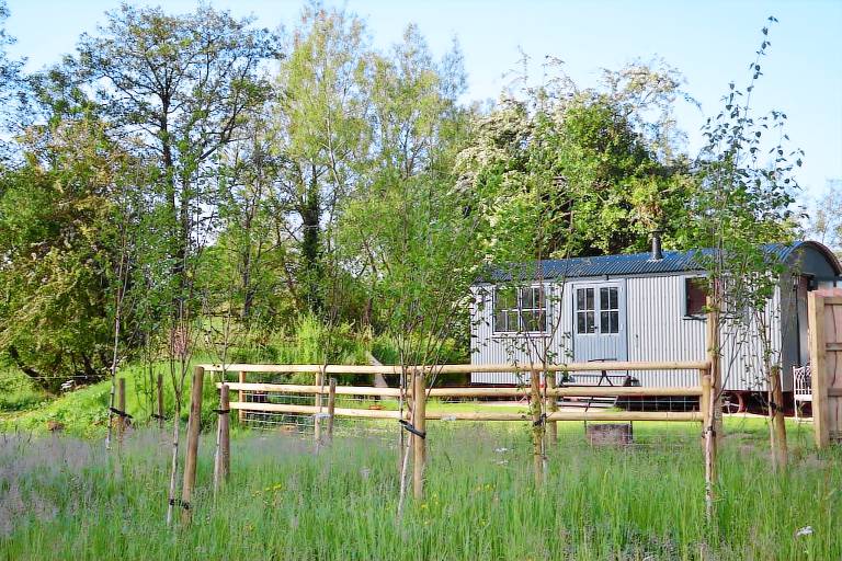 Cabin Chew Magna