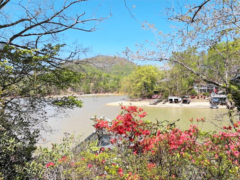 Cottage Lake Lure