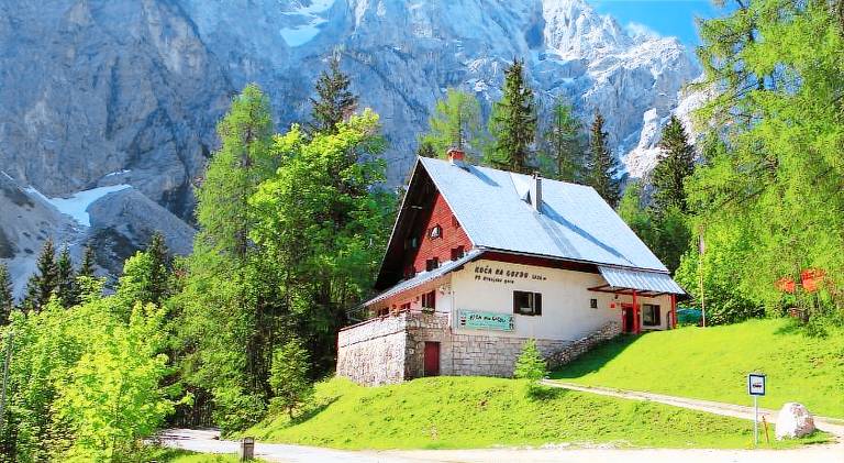 PLANINSKA KOCA NA GOZDU in Kranj