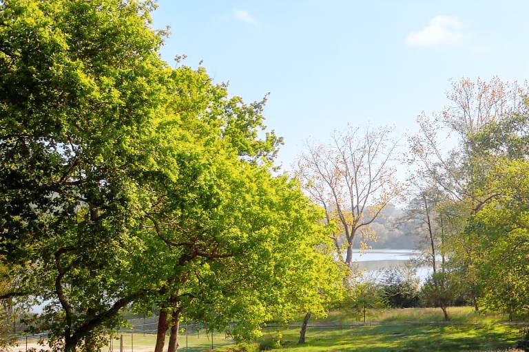 Child-friendly wonderful house with garden, patio & barbecue | Lake view | Suitable for remote work | Pets are welcome — photo 5