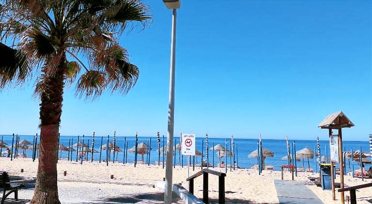 Lovely holiday apartment | Close to the beach | Pets allowed — photo 4