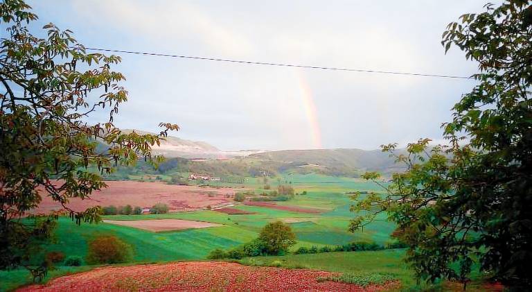Agriturismo l'Oasi — photo 4
