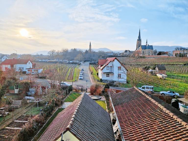 foto1