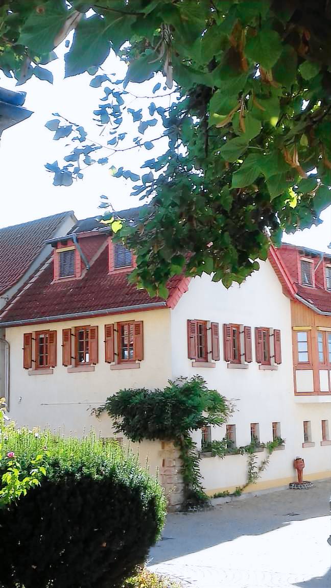 Ferienhaus Kallstadt
